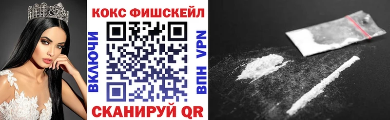 COCAIN Fish Scale  Купить закладки  Красный Сулин 
