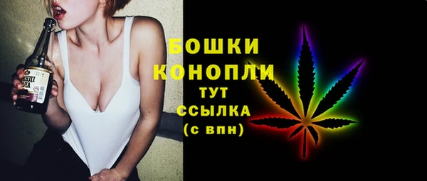 spice Кодинск