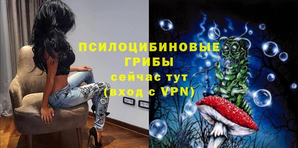 spice Кодинск