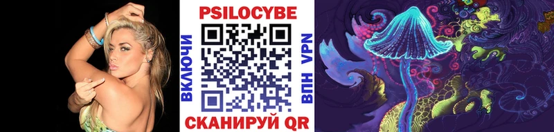 Псилоцибиновые грибы Psilocybine cubensis  Купить закладки  Красный Сулин 